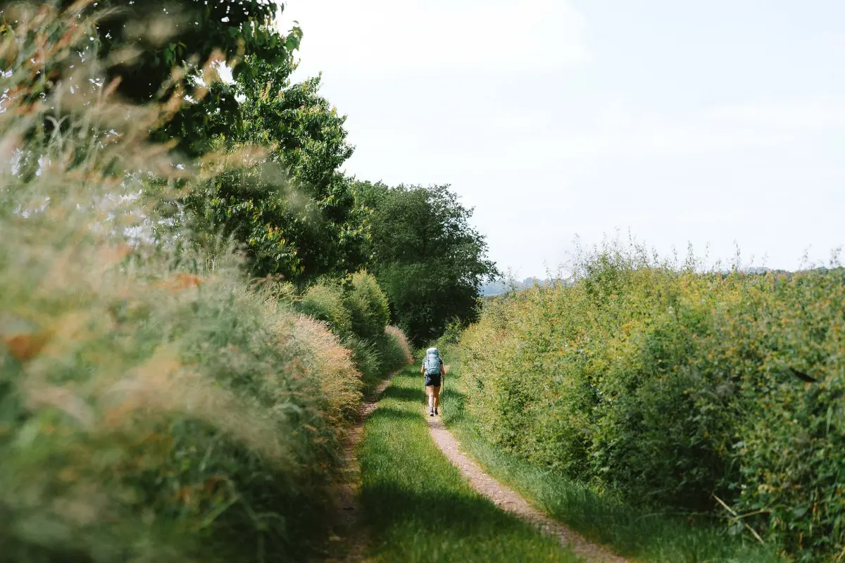 Person hiking on the Lee Trail.