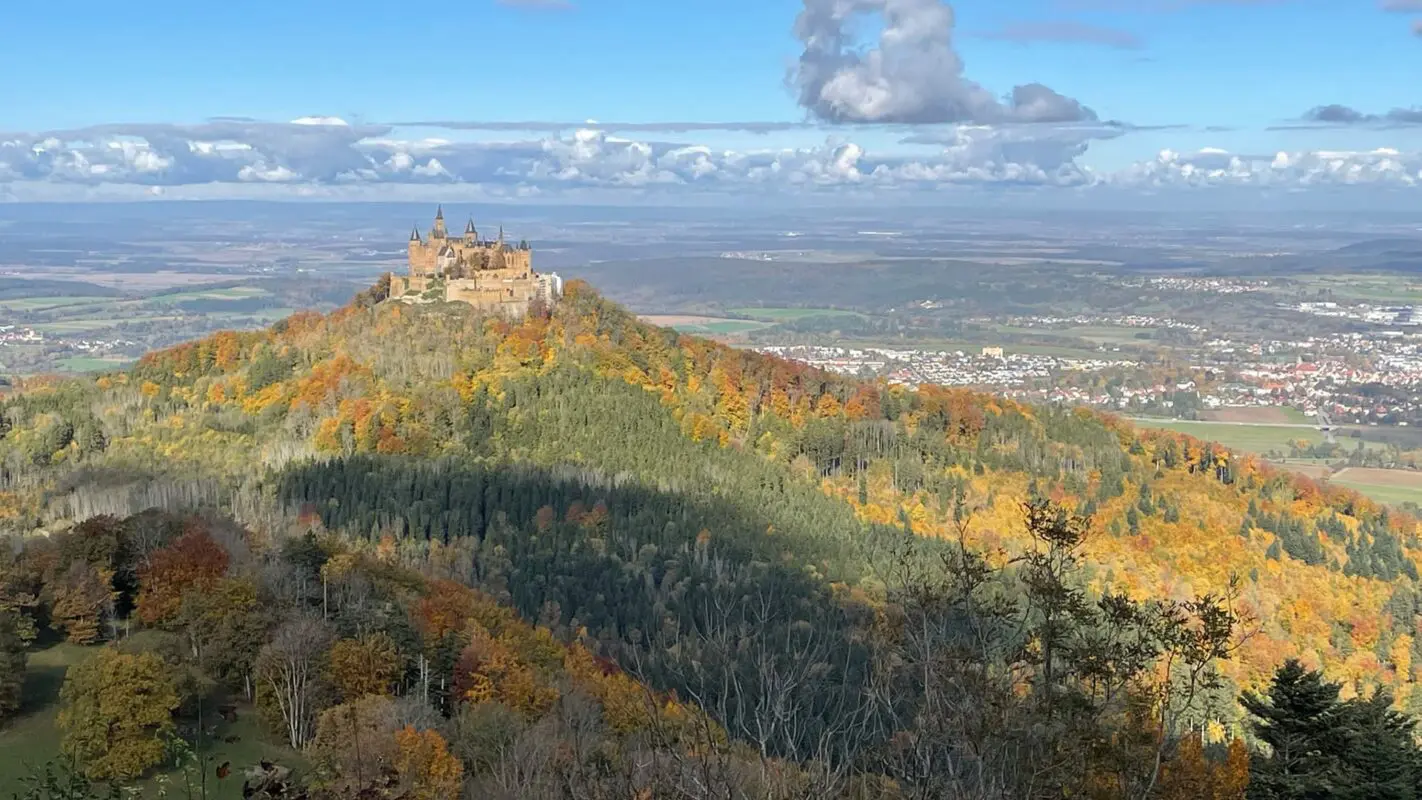 castle on top of hill surrounded by forest