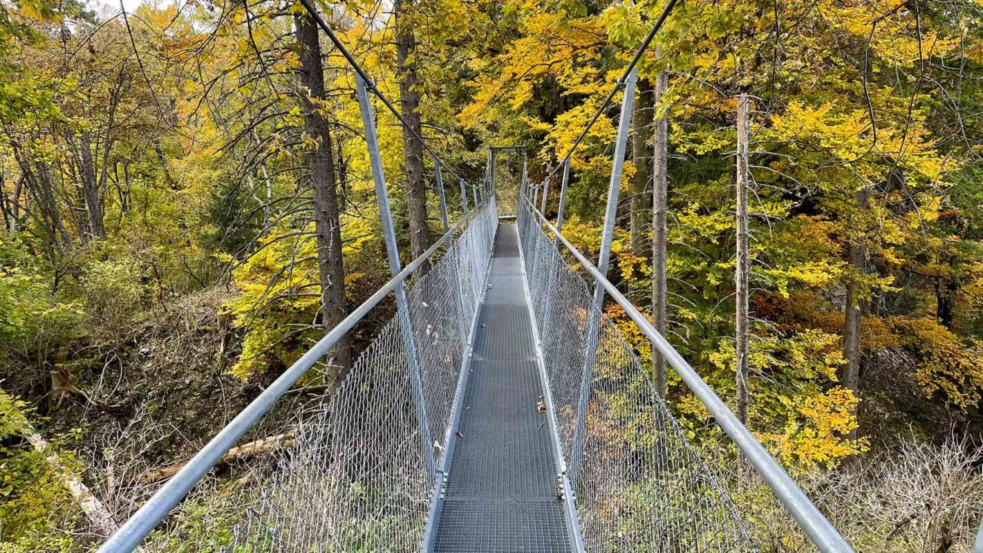 suspension bridge in forest during autumn