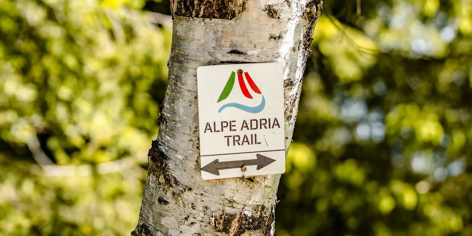 sign of the Alpe Adria Trail pinned to a tree