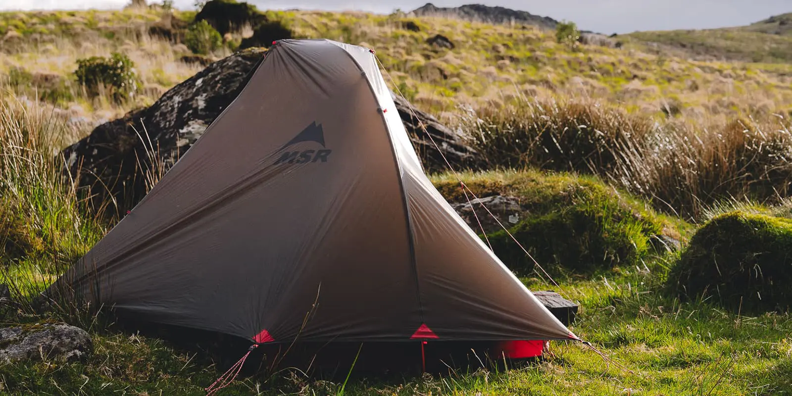 MSR tent in green field with tall grass