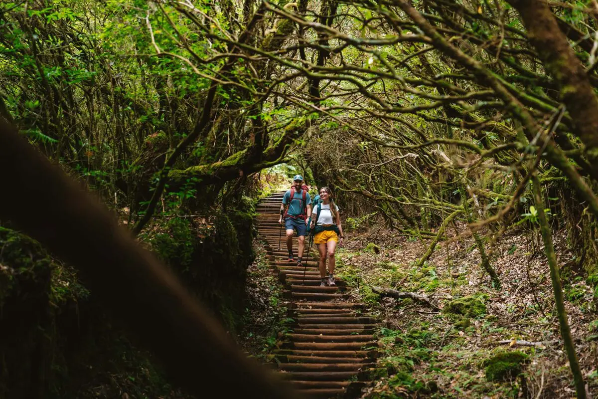 two persons hiking down stairs in madeira forest