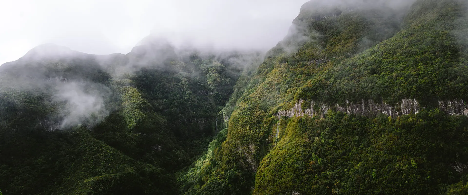 green mountain landscape on Madeira island