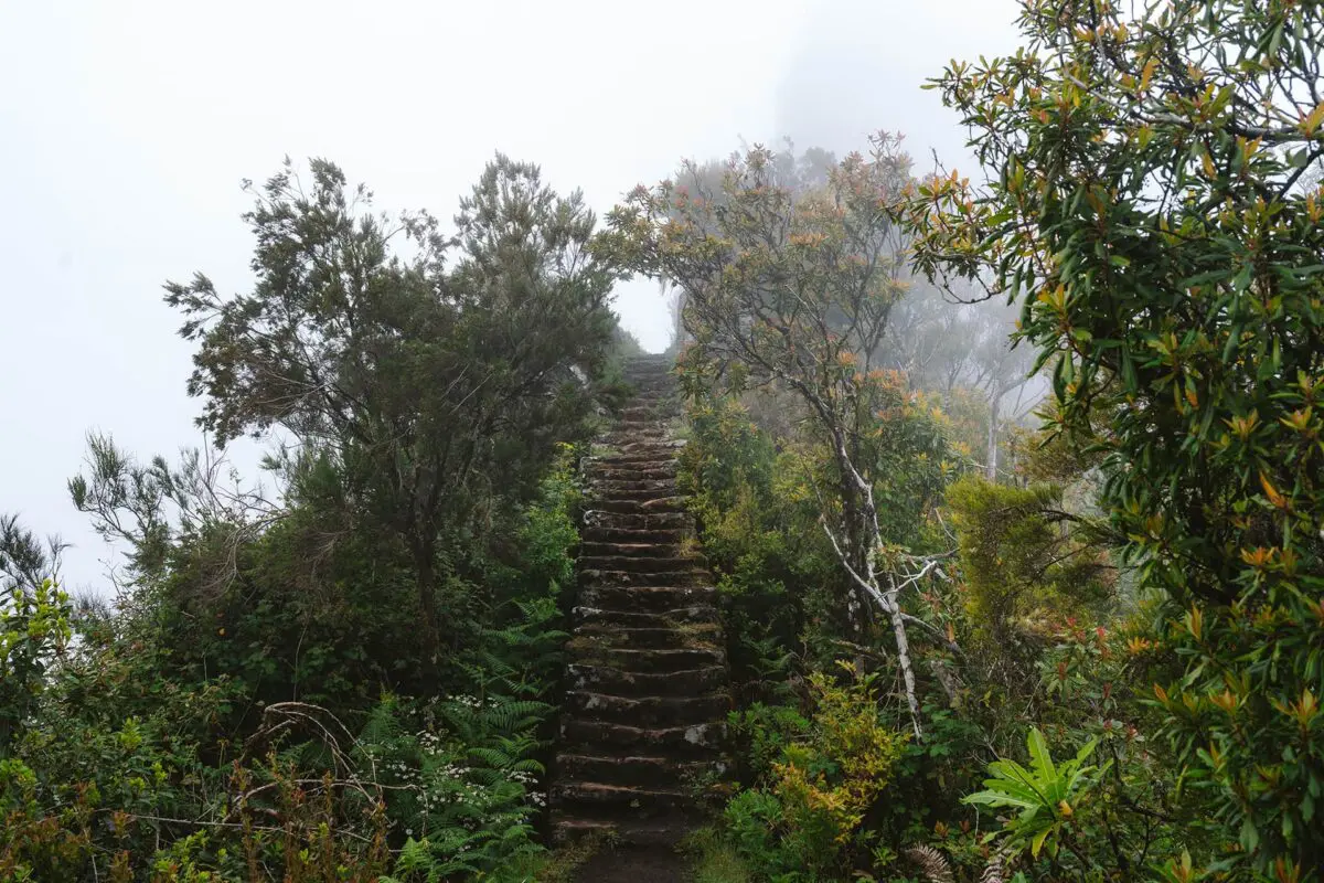 stone staircase on mountain ridge in madeira