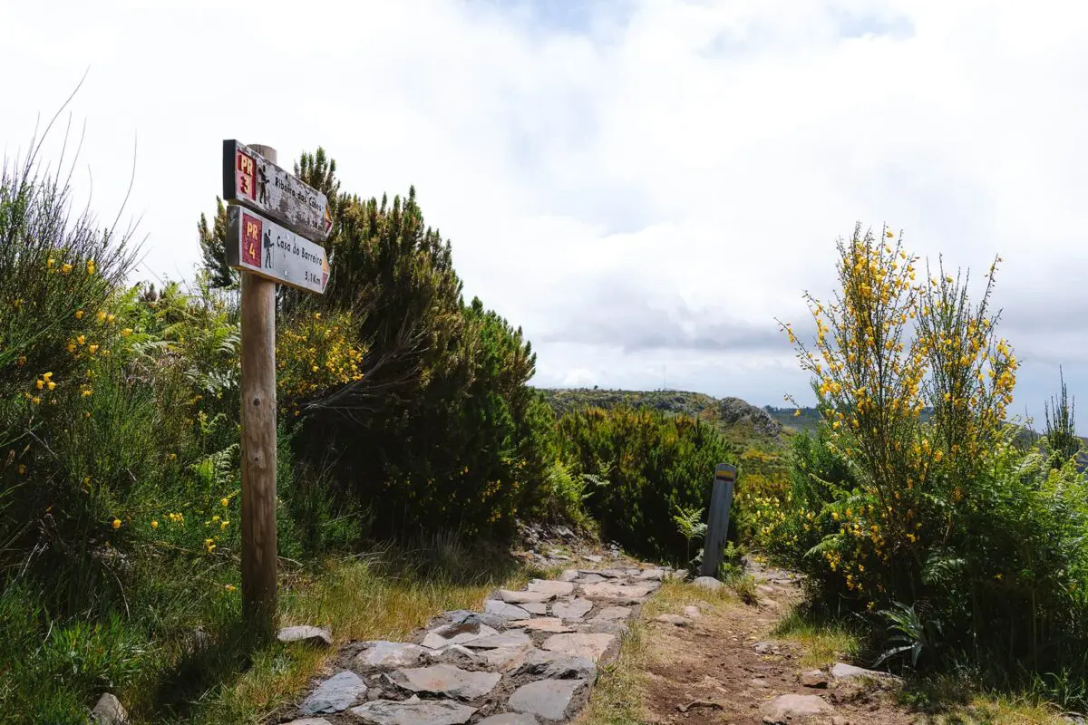 wooden way signs in green landscape