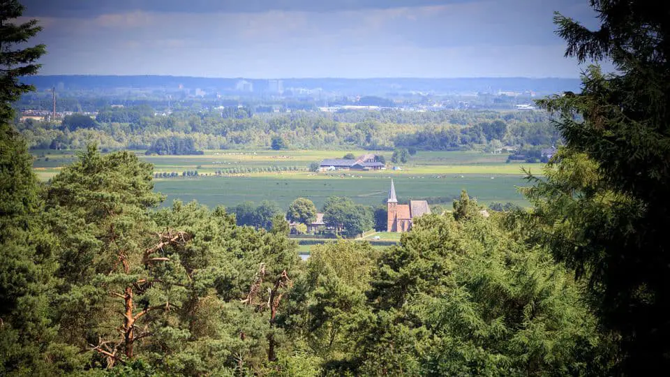 church in distance with trees in the foreground