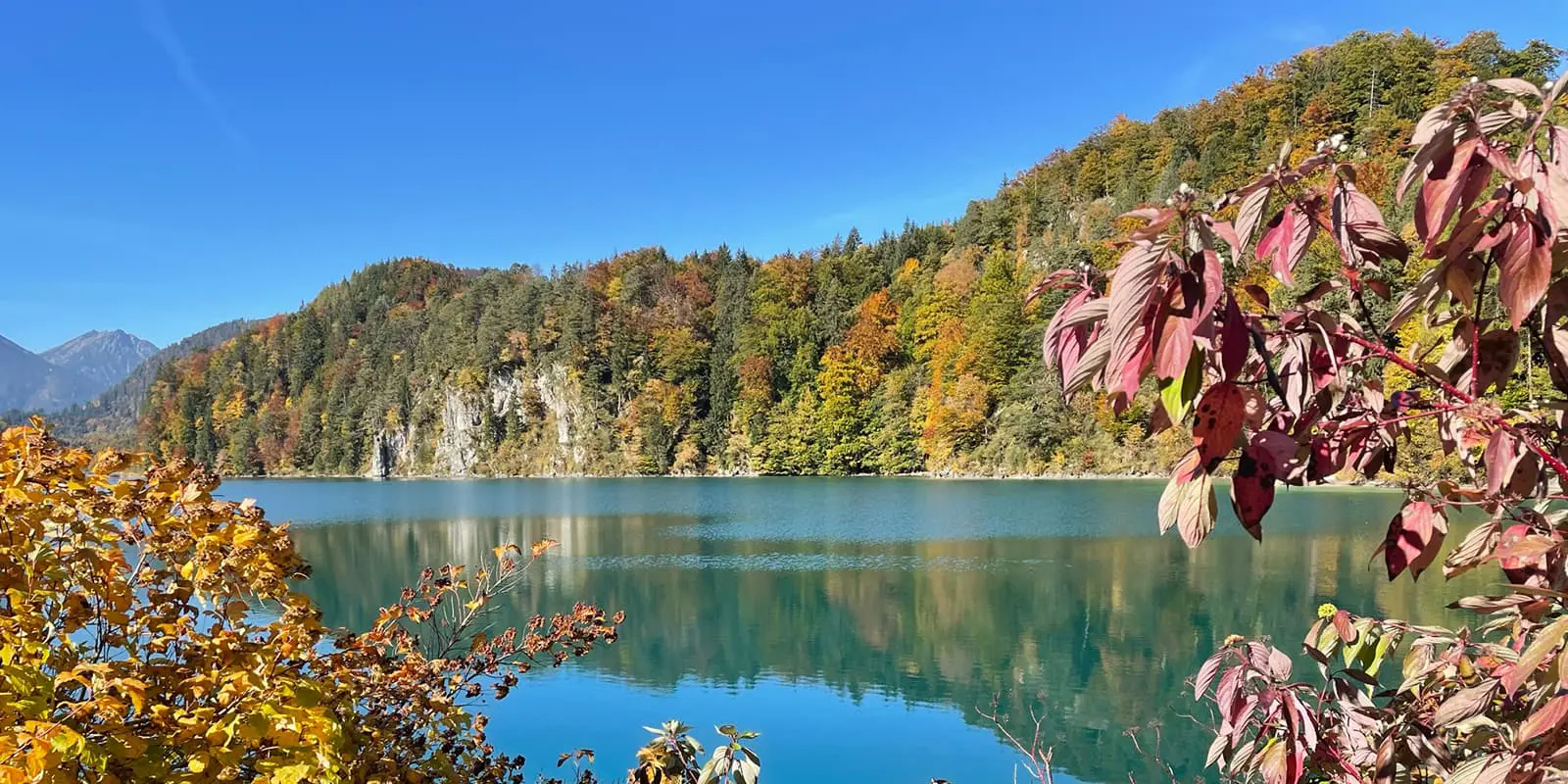 lake surrounded by forest in autumn colors