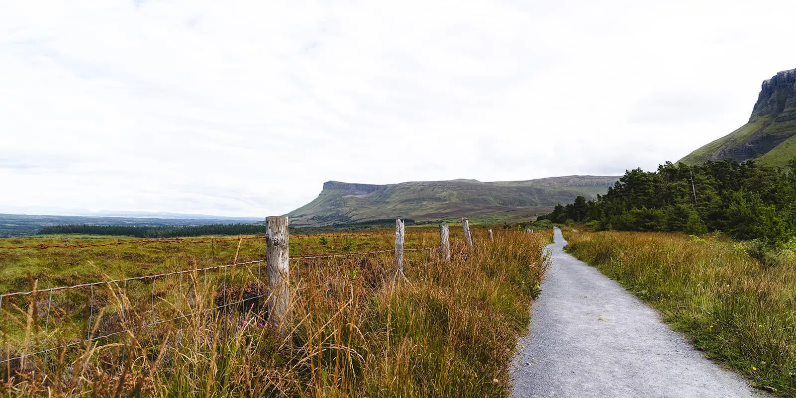 unpaved hiking trail near coast of Ireland