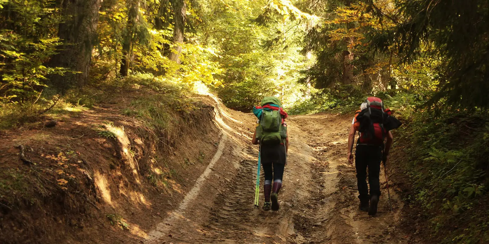 two persons hiking on dirt road in forest