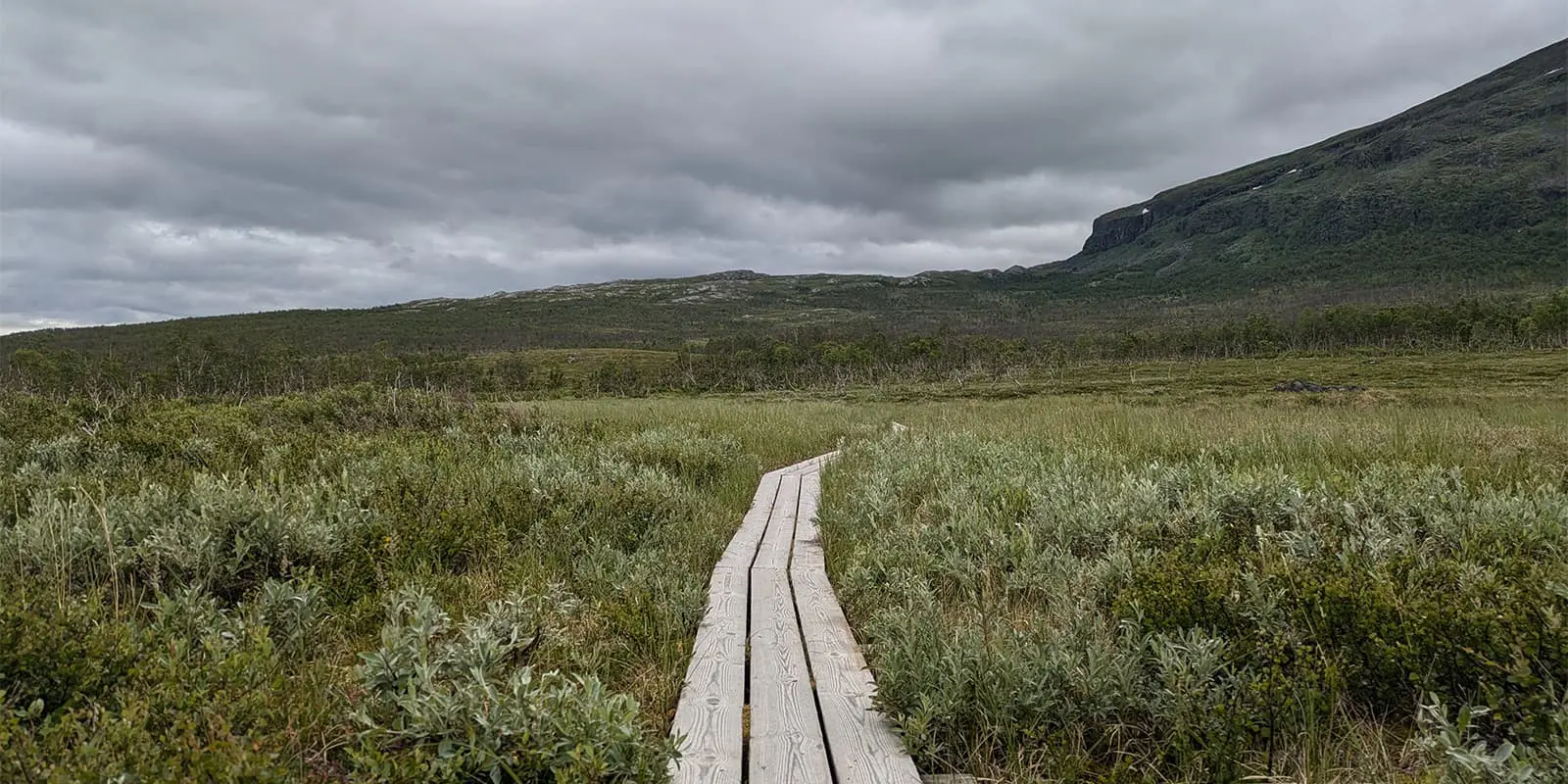 wooden walkway on the Kungsleden