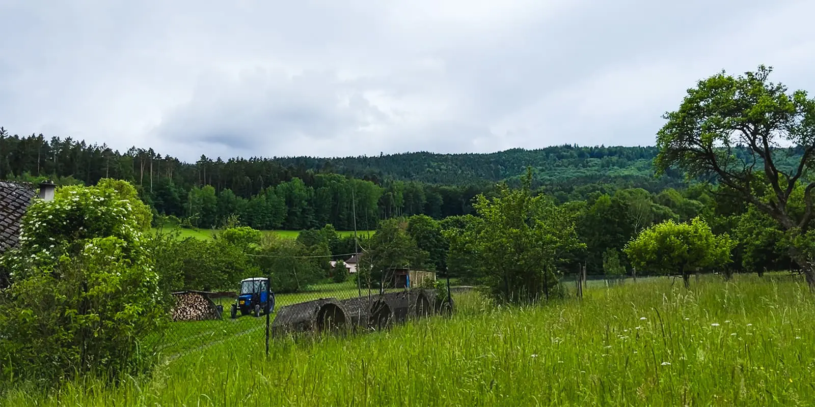 green countryside in czech republic