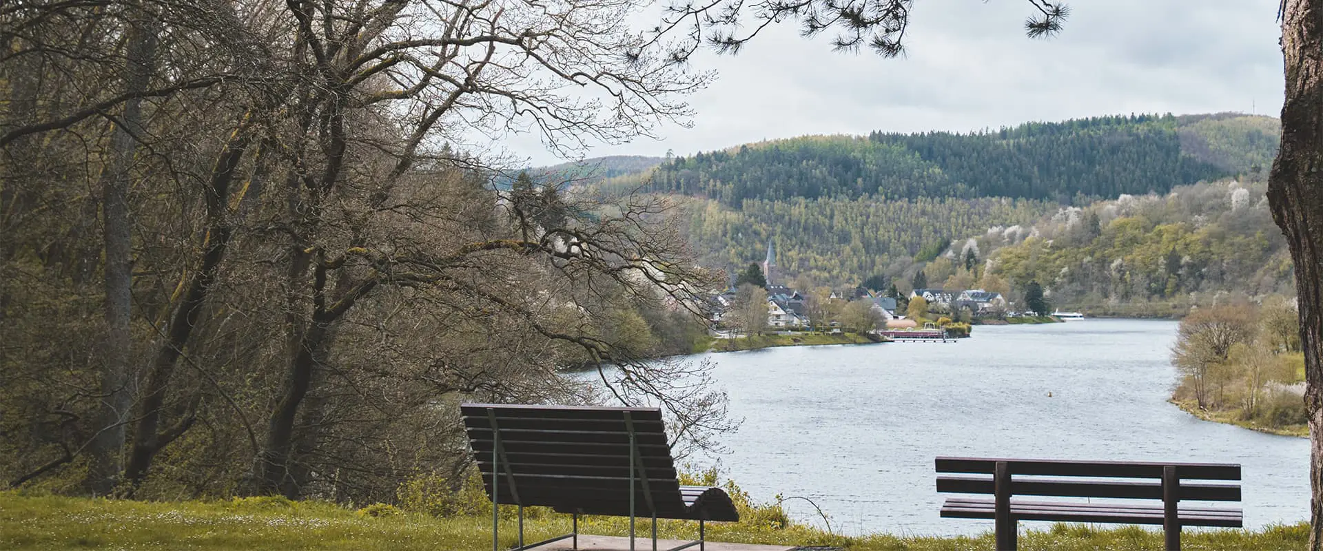 view of river near forest at Eifel national park in Germany