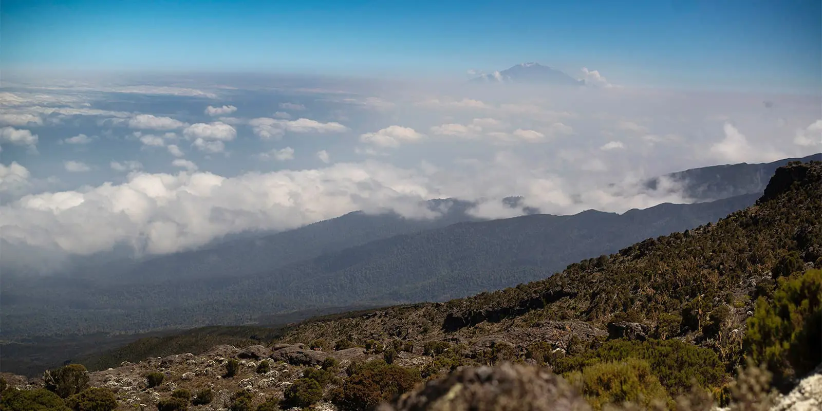 Lemosho route - kilimanjaro