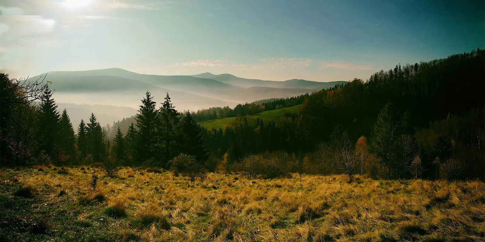 green landscape and hills