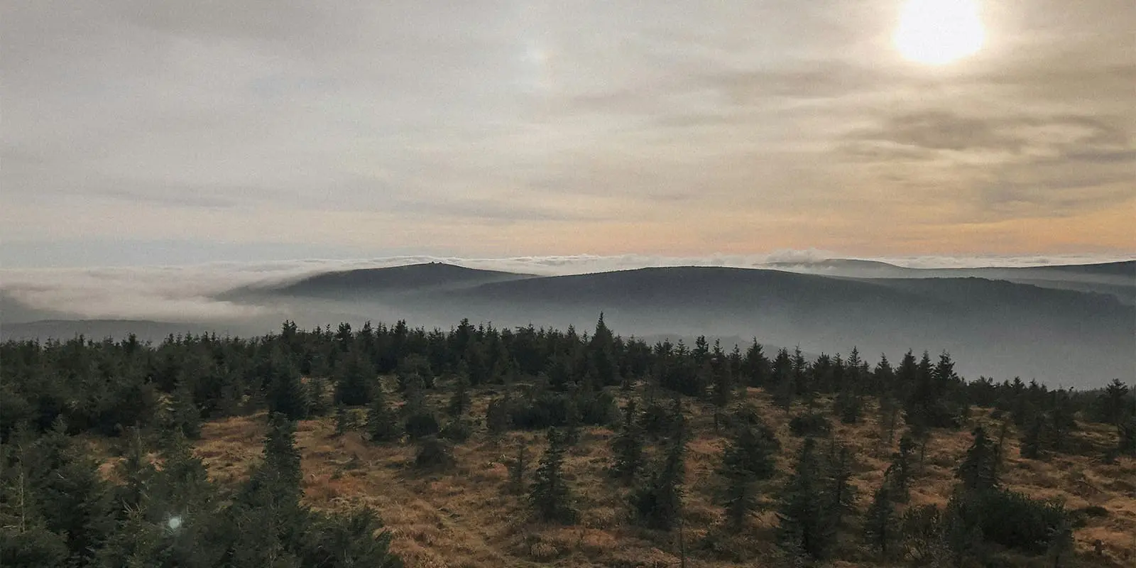 sun setting over the mountains near forest