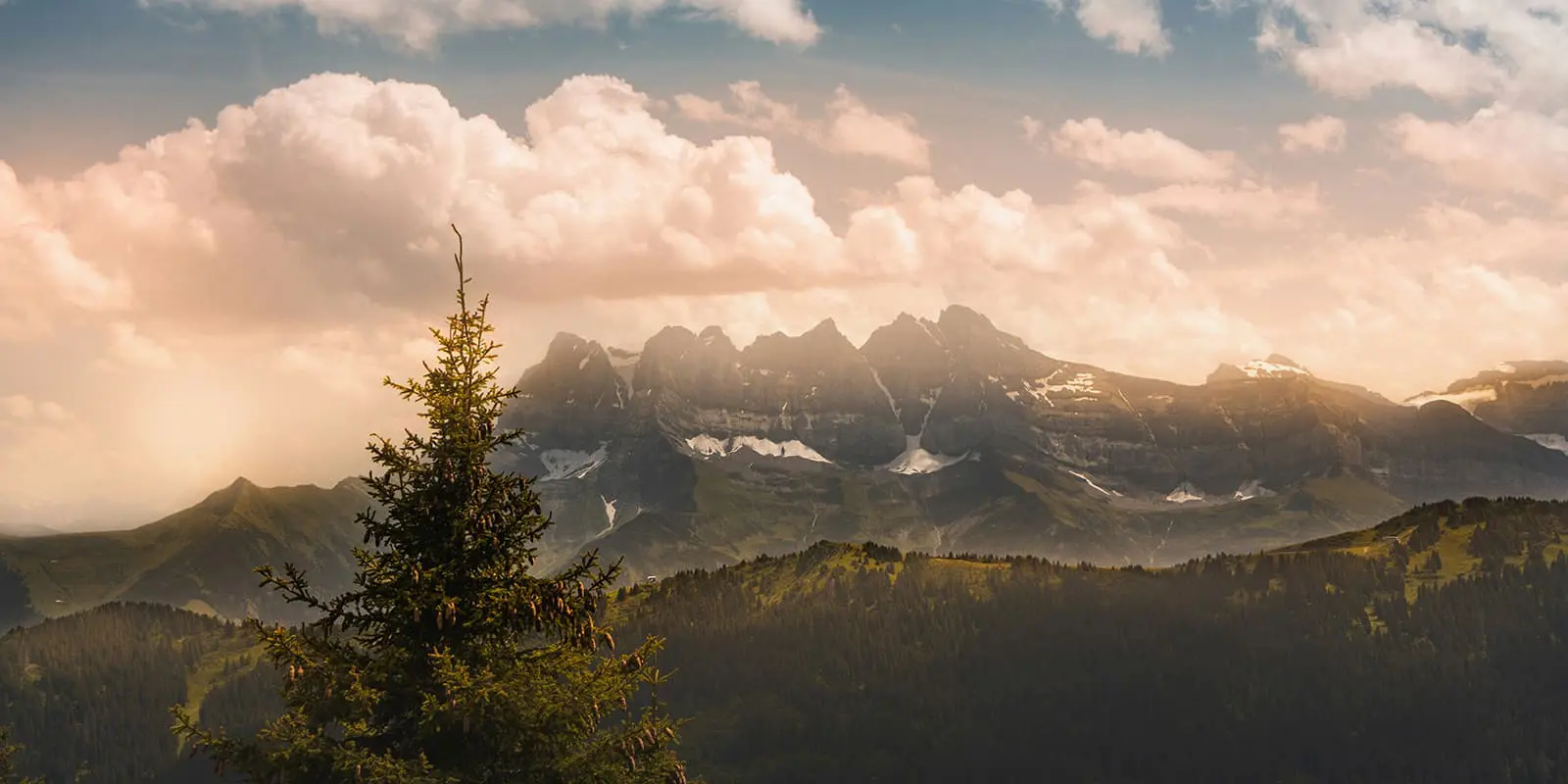 dents du mide, swiss. green trees under mountains on cloudy day