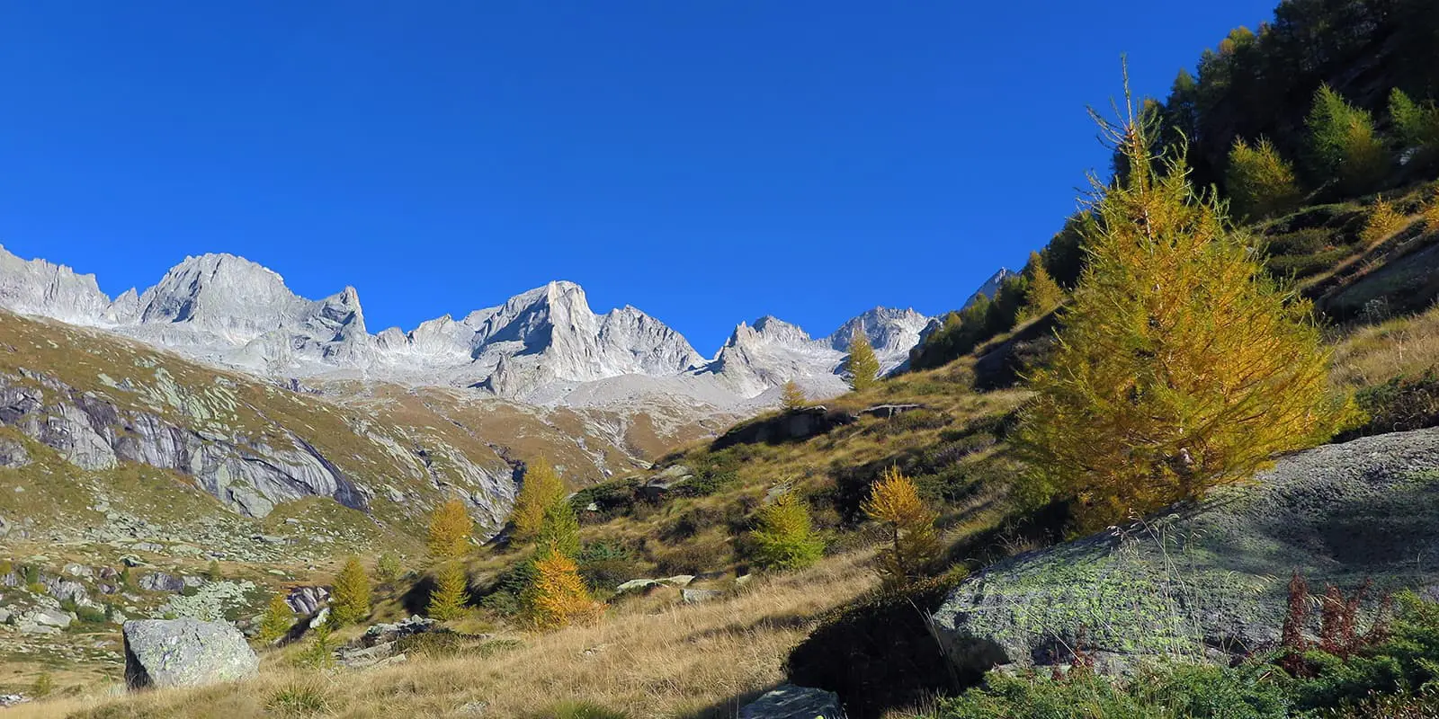 landscape with mountains and trees in Italy