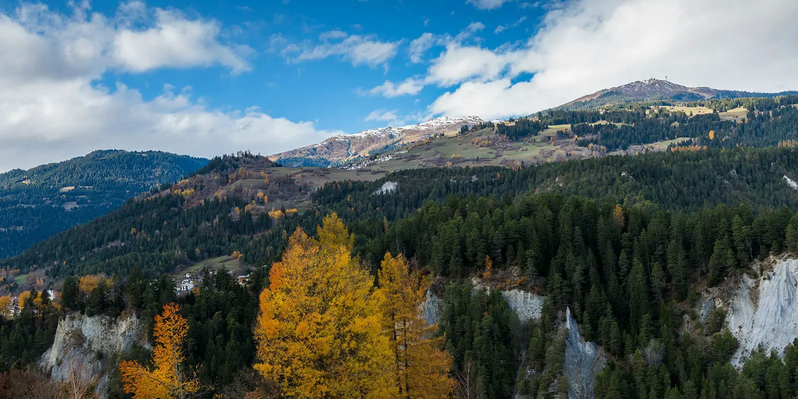 colourful trees in autumn in Graubunden