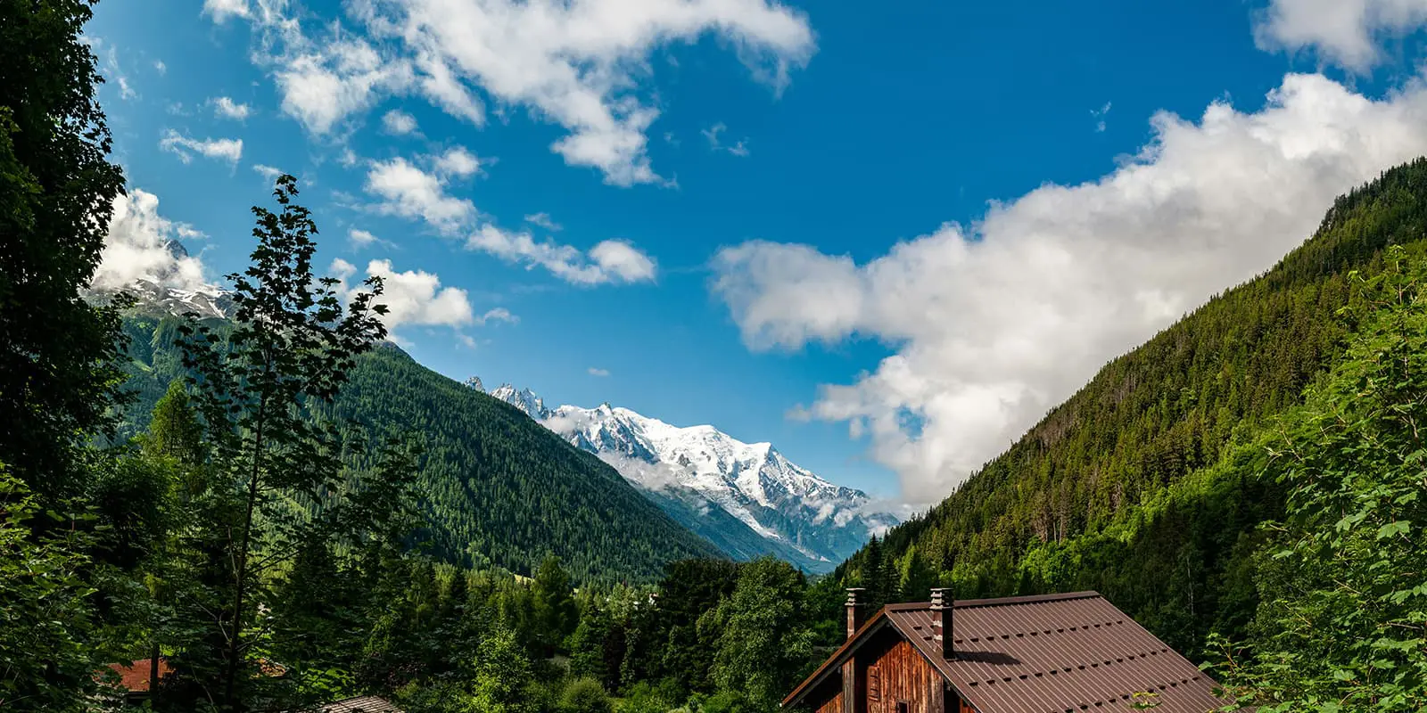 Argentiere in France, green forest and snowy mountains