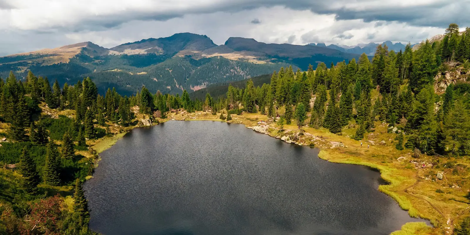 green trees near lake under cloudy sky