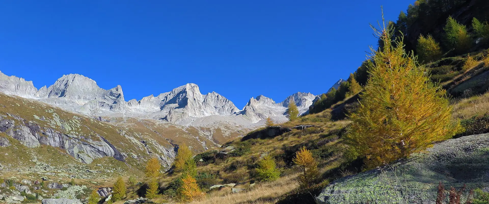 landscape with mountains and trees in Italy