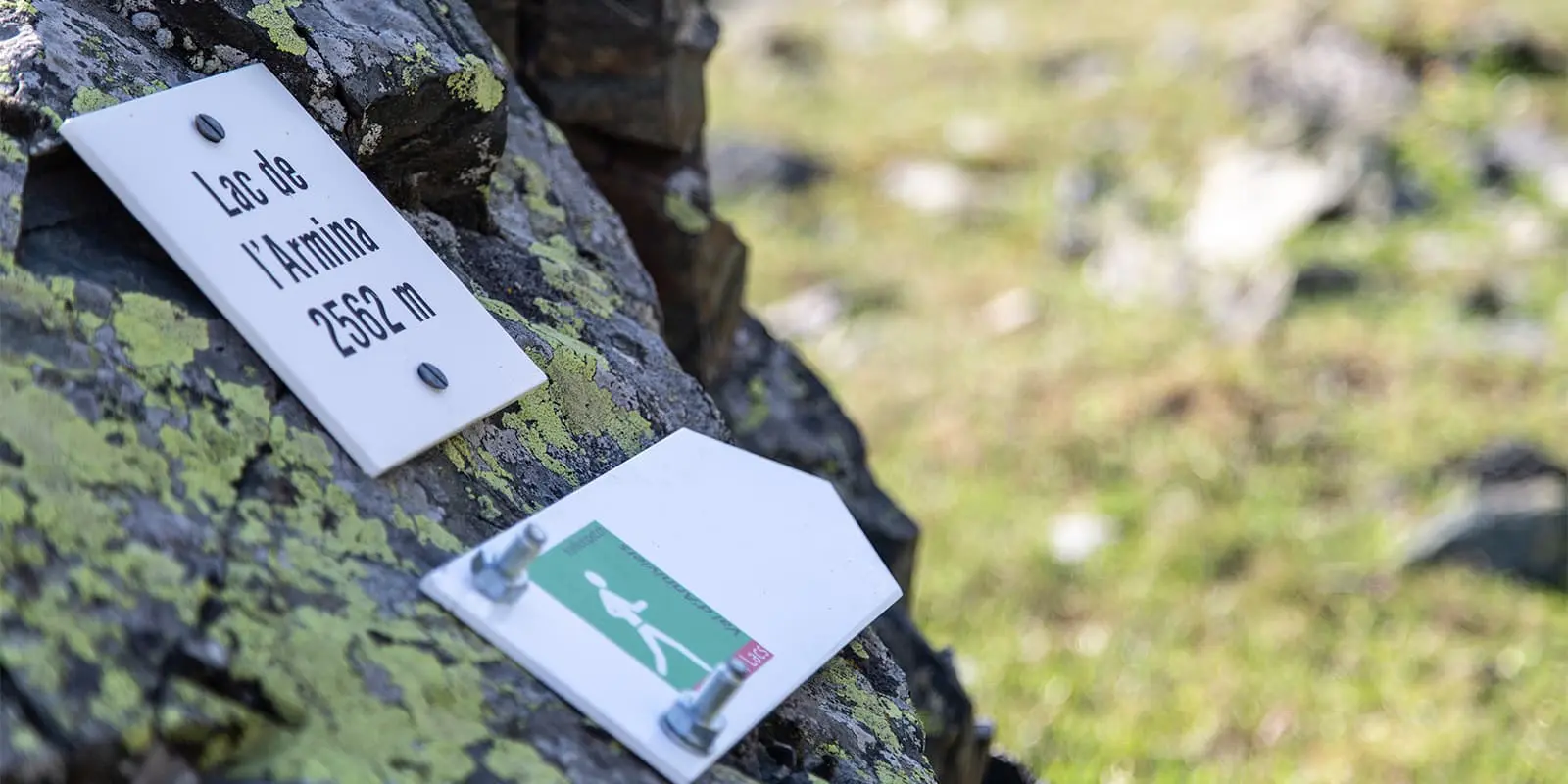 wooden trail signs bolted to rocks
