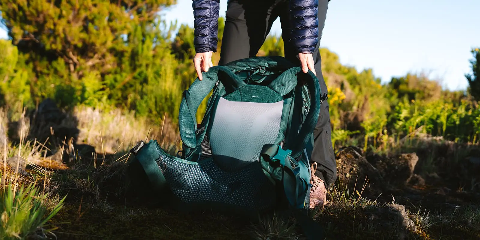 back panel close up photo of the Gregory Maven 58L backpack