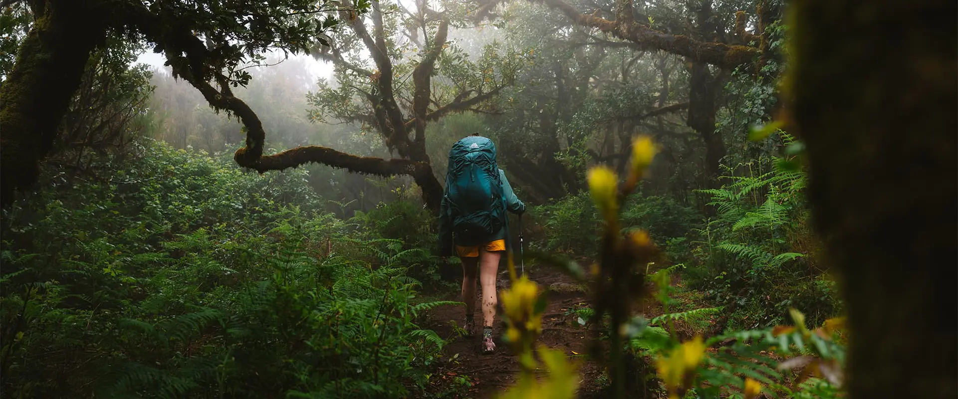 women hiking in foggy forest in Madeira wearing a Gregory backpack