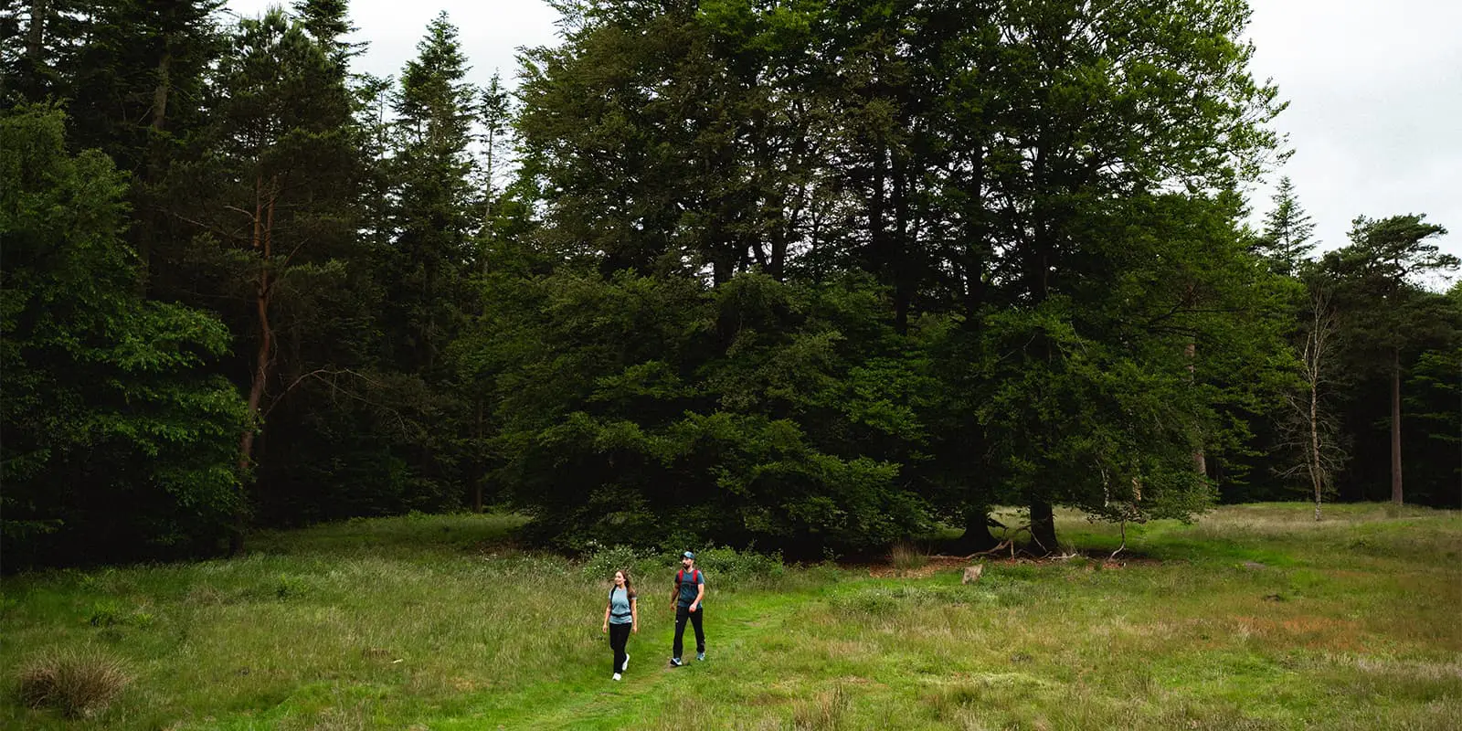 two hikers on grassy hiking trail near a forest in the Netherlands