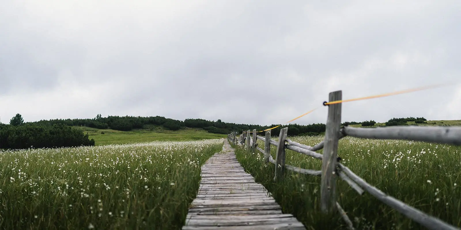 wooden pathway in green hill landscape in the Sartaler Alps