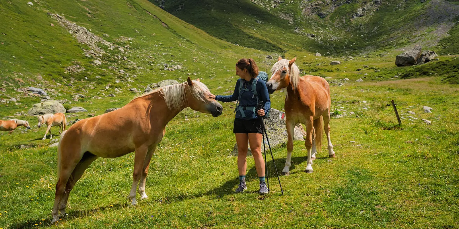 women surrounded by horses in green mountain landscape