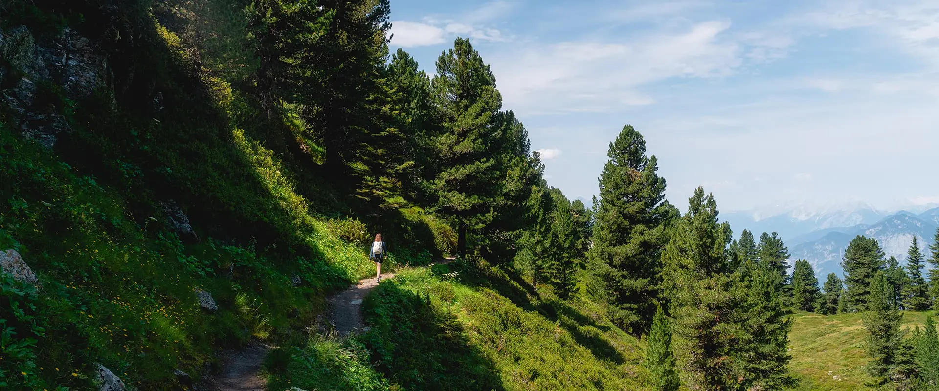 person hiking on the Zirbenweg near Innsbruck