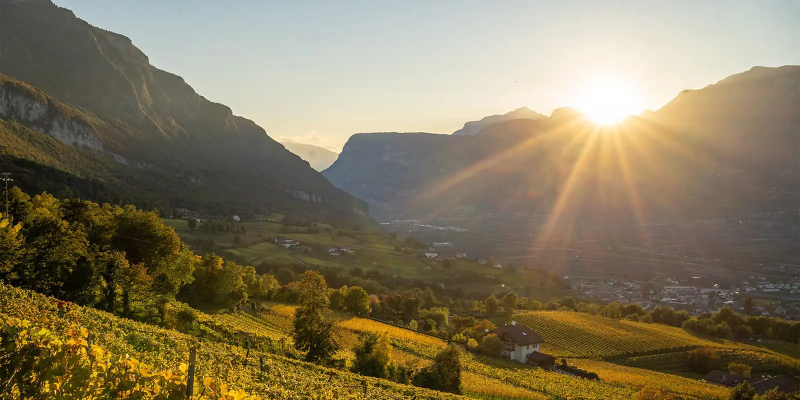 sun shining over mountains onto wine fields in South Tyrol
