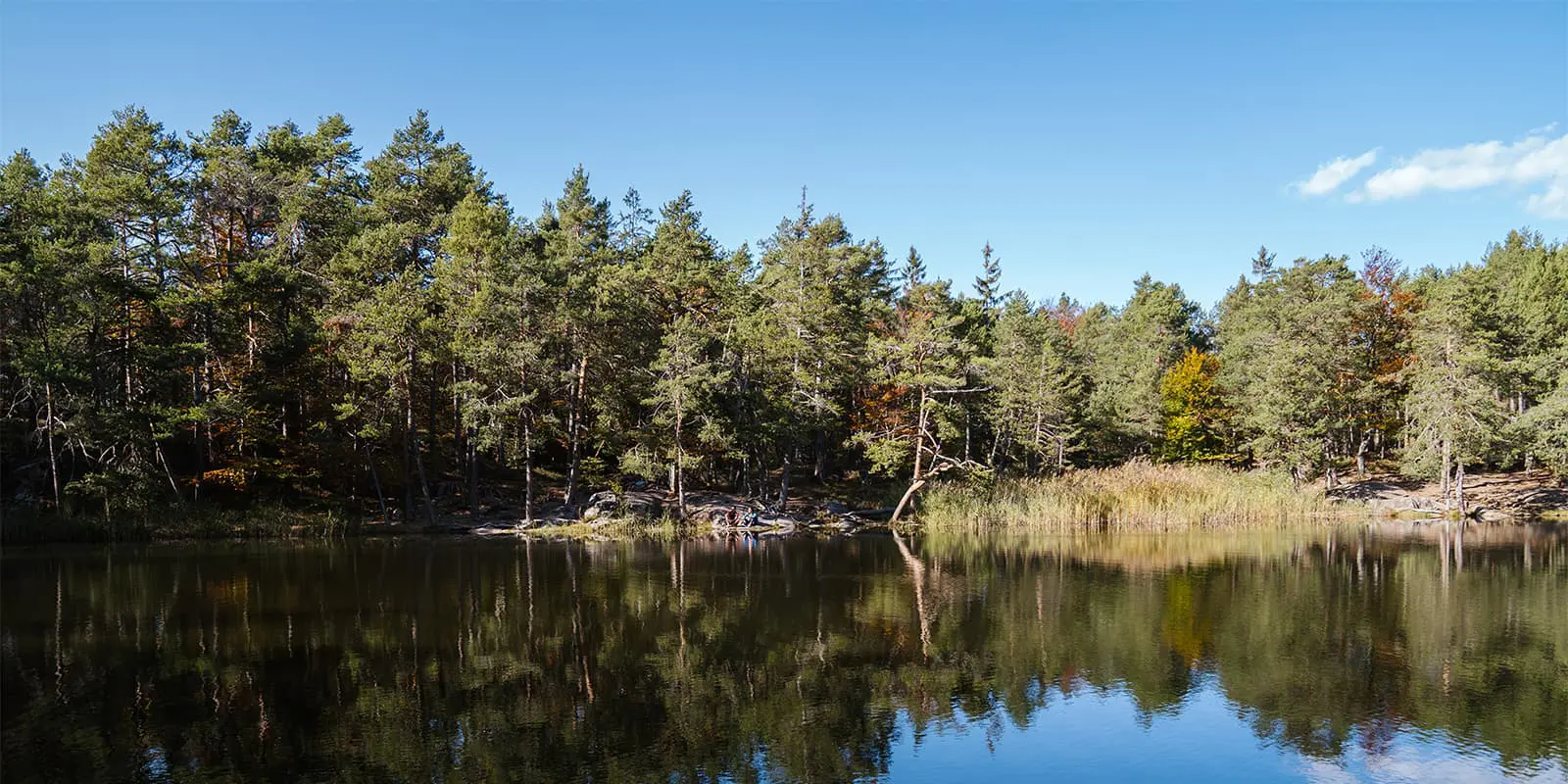 two persons sitting by lake near forrest area in South Tyrol