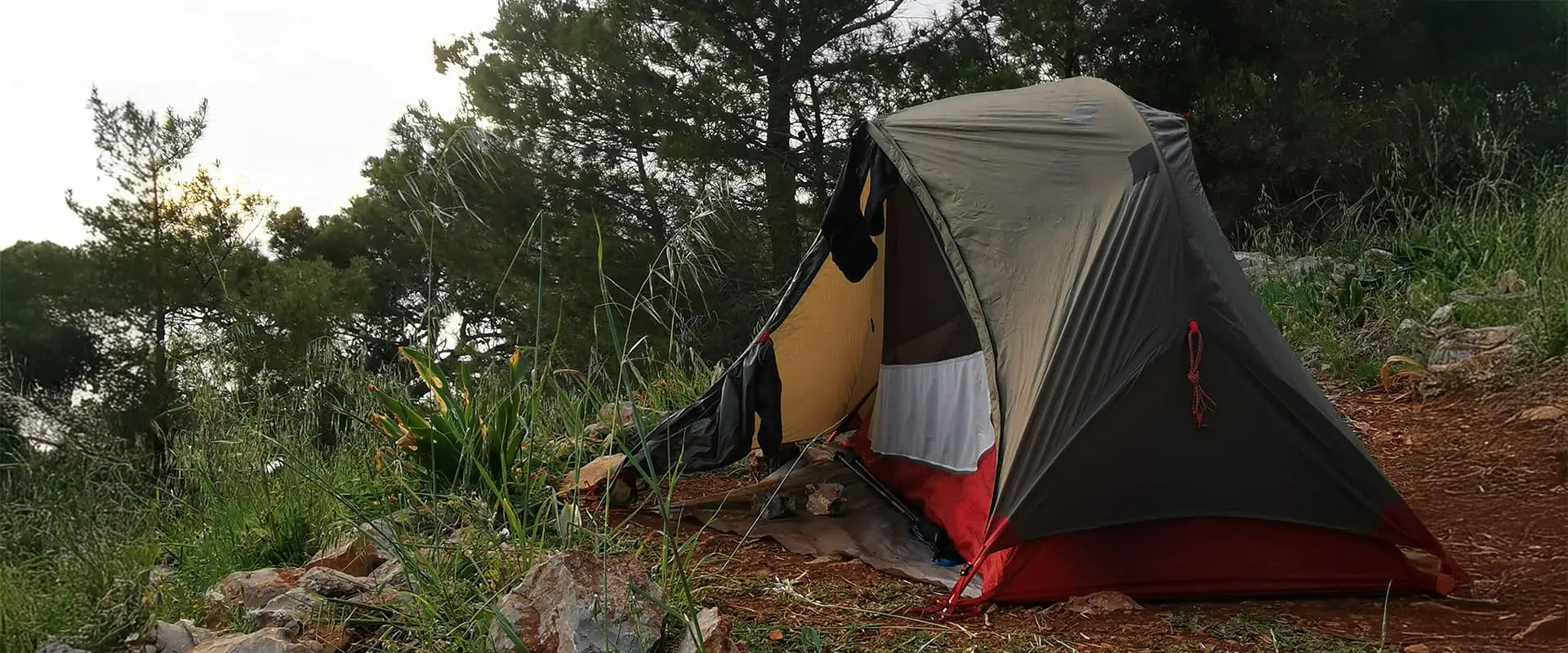MSR Hubba NX Solo tent in a clearing by some trees