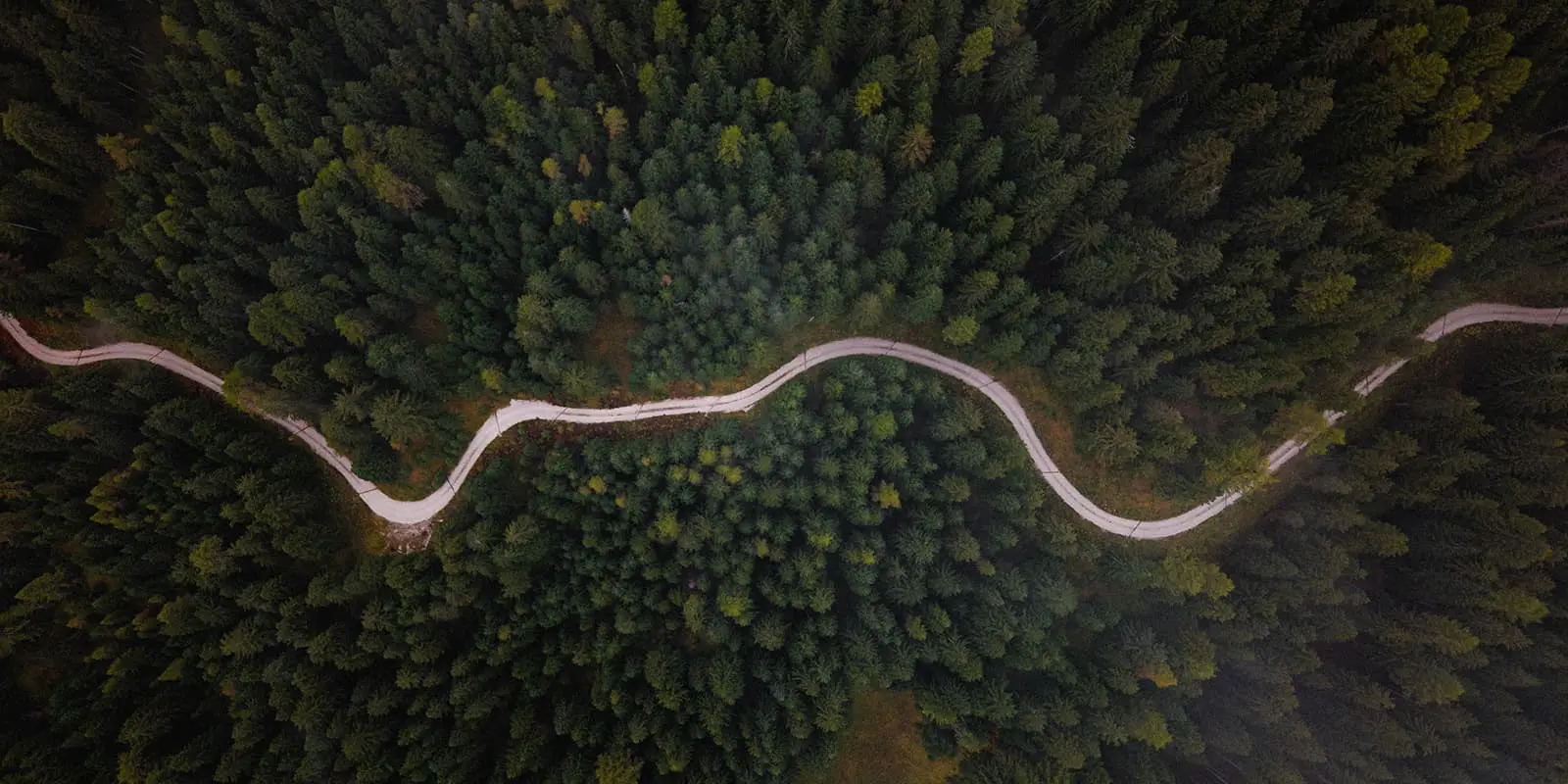 drone shot top down of forest road on the Almweg 2000 hiking trail