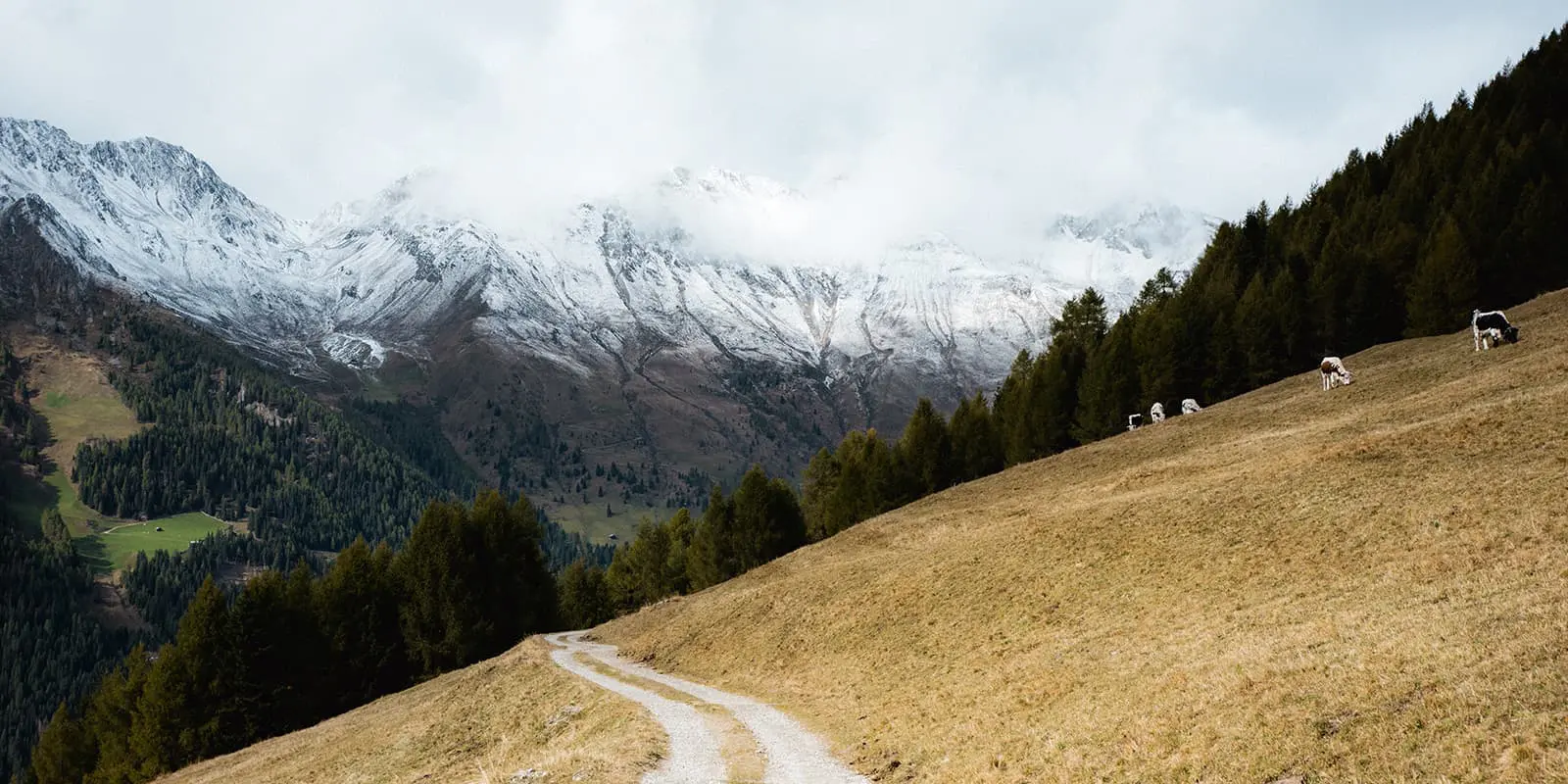 road on a sloped hill in the Gsiersertal valley with Dolomites mountains in the background