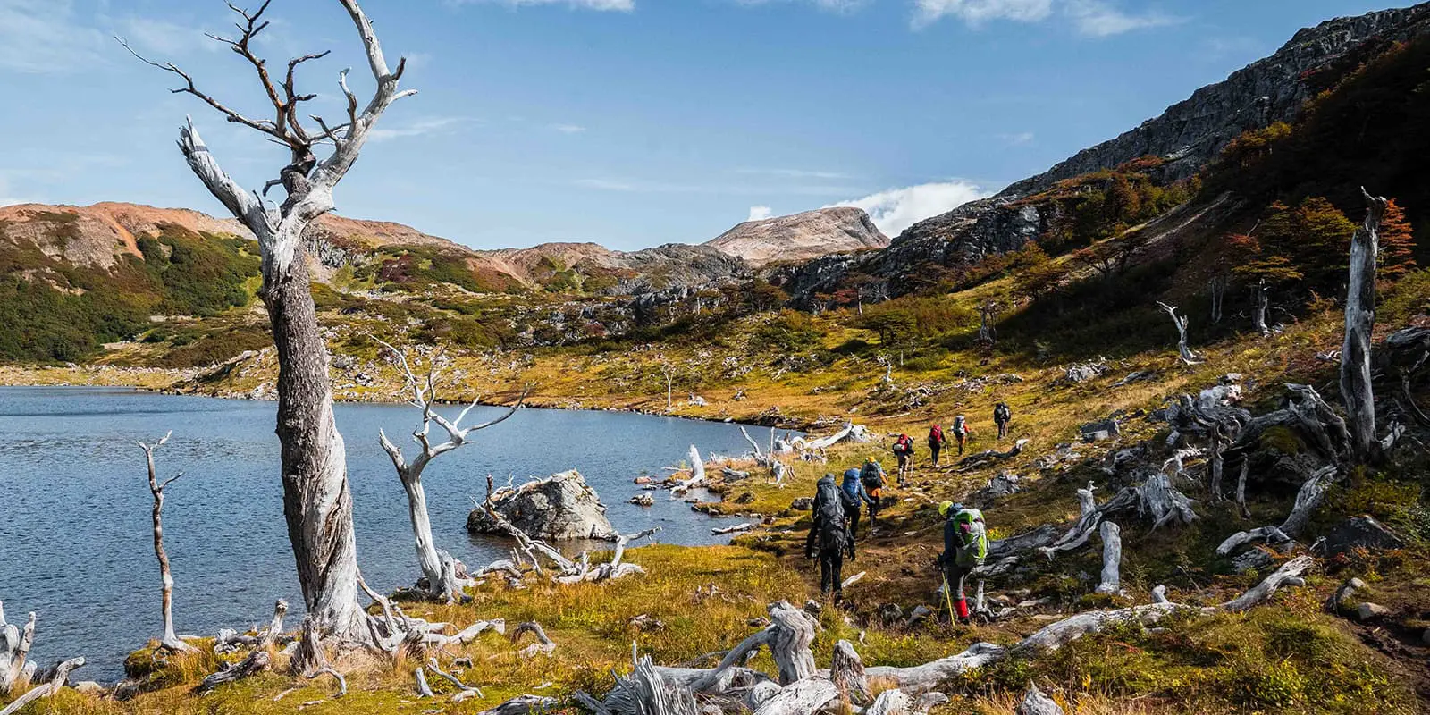 group of hikers on the Dientes de Navarino in the south of Chile