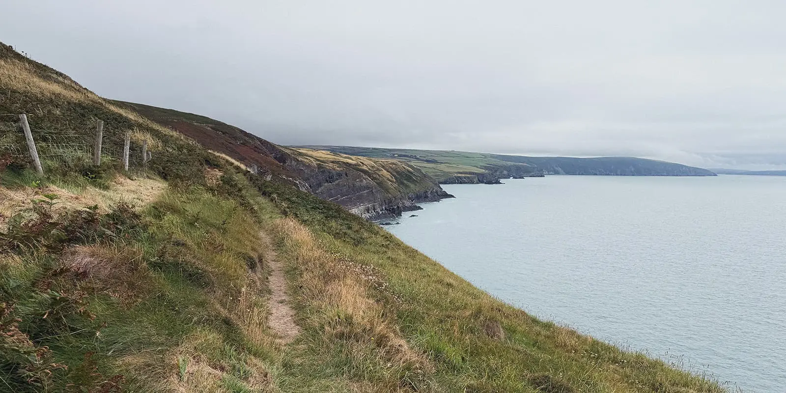 small hiking trail along the Wales coast on the Pembrokeshire Coast Path