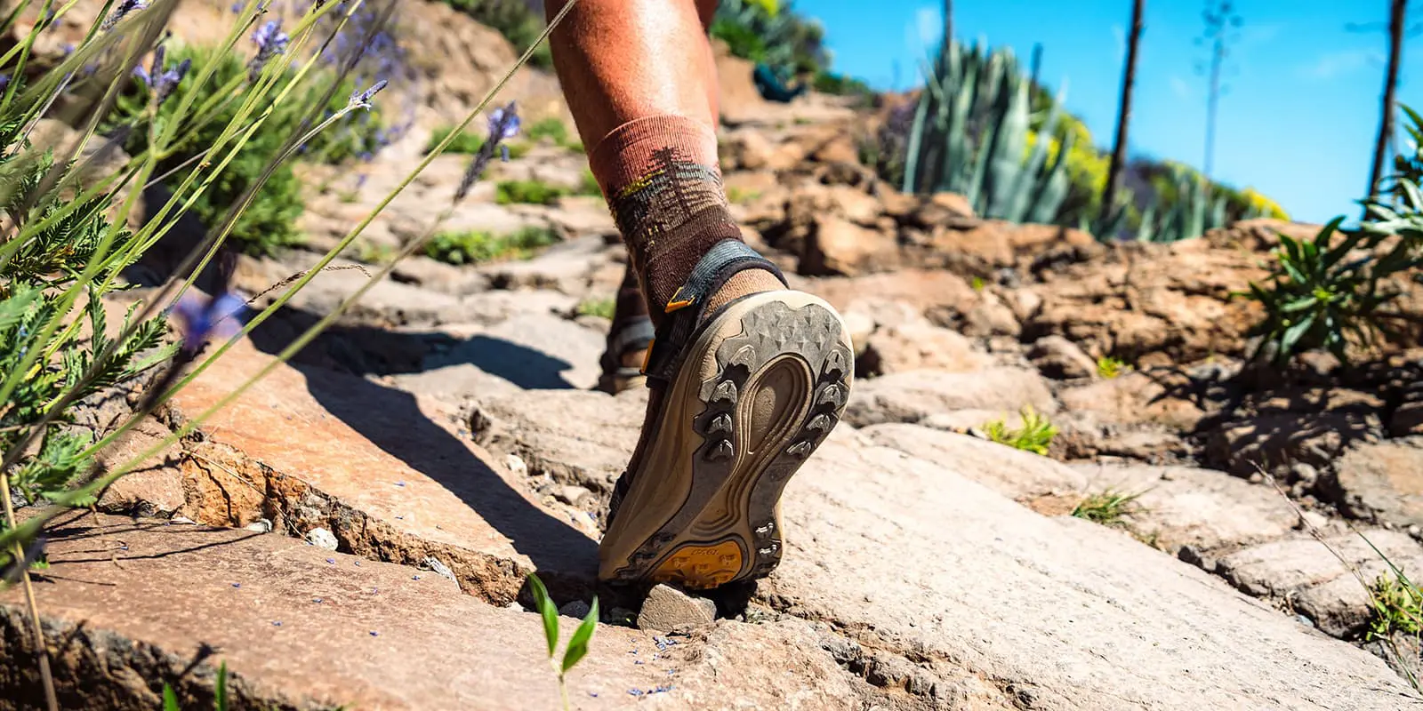 close up shot of the Teva Aventrail R2T Sandal