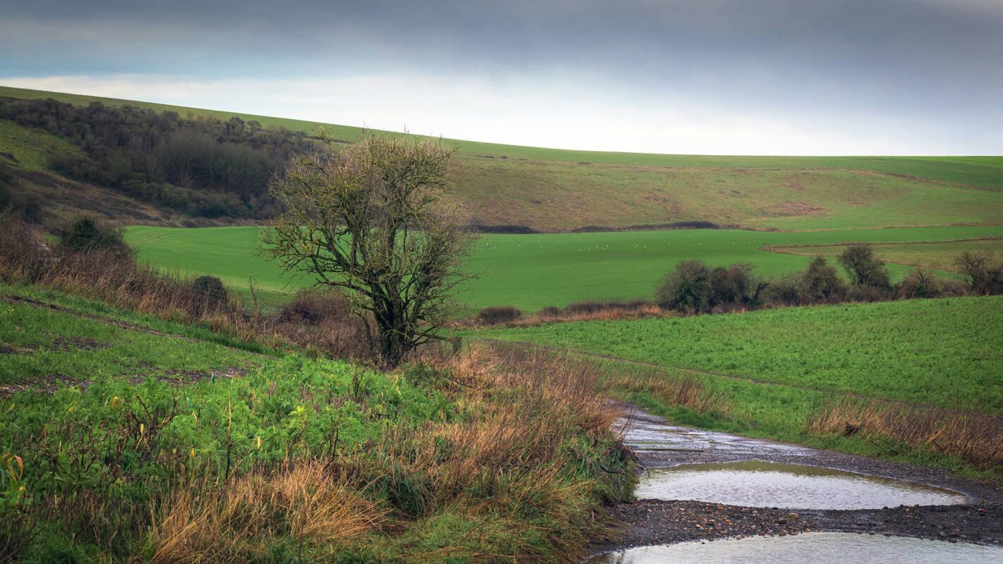 hiking trail on the South Downs Way, green field and dark sky