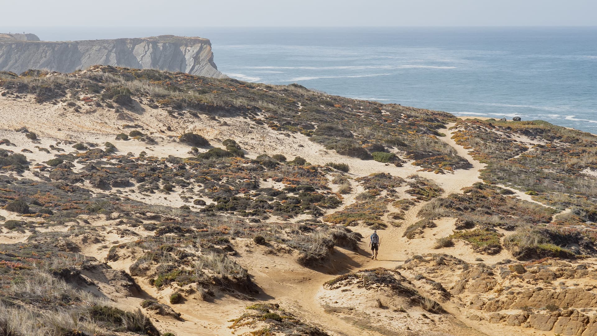 Dry landscape with some vegetation beside the sea