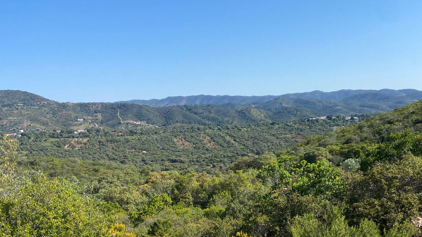 Green landscape of the Algarve Portugal