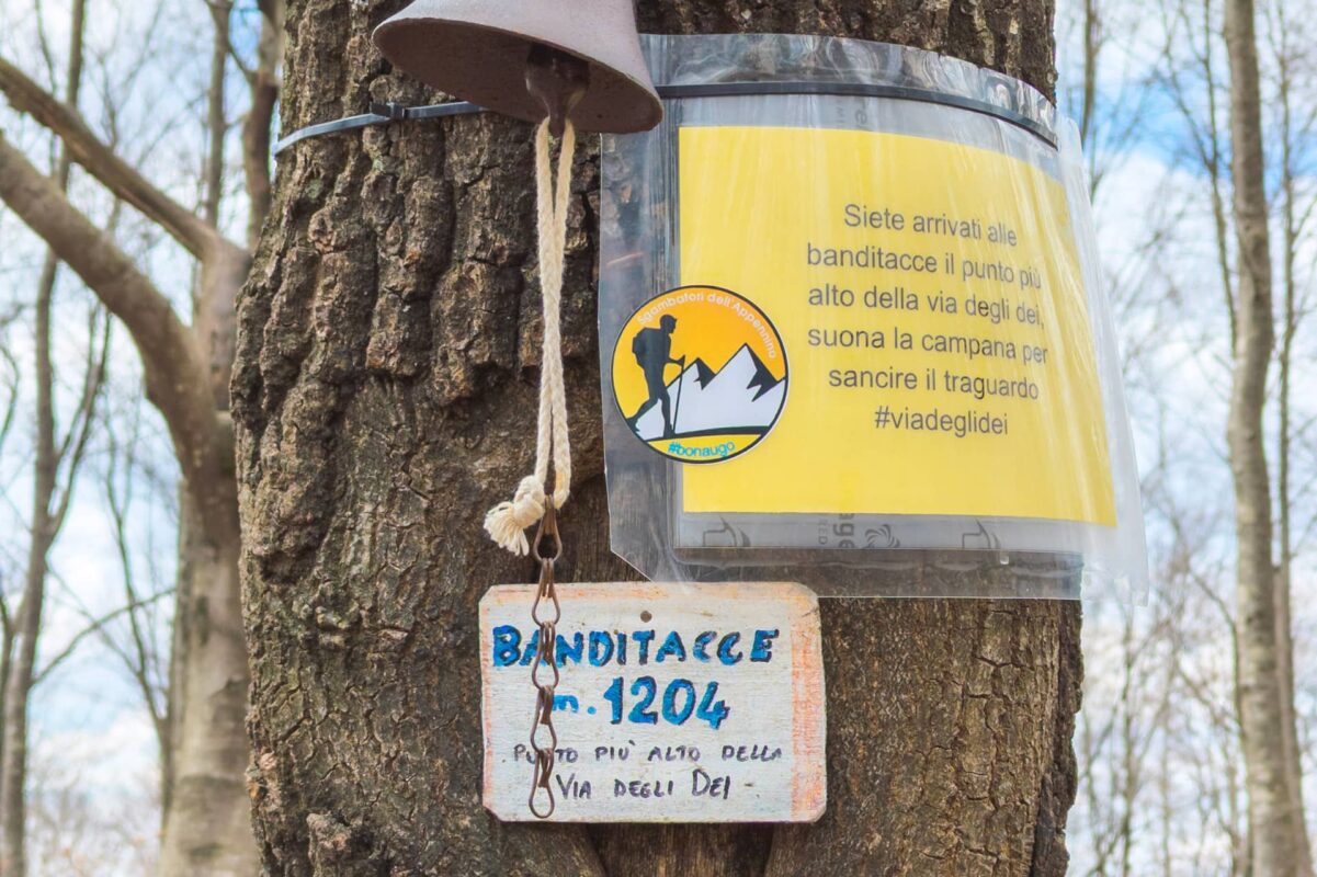 Way of the Gods hiking trail, tree with trail sign on it