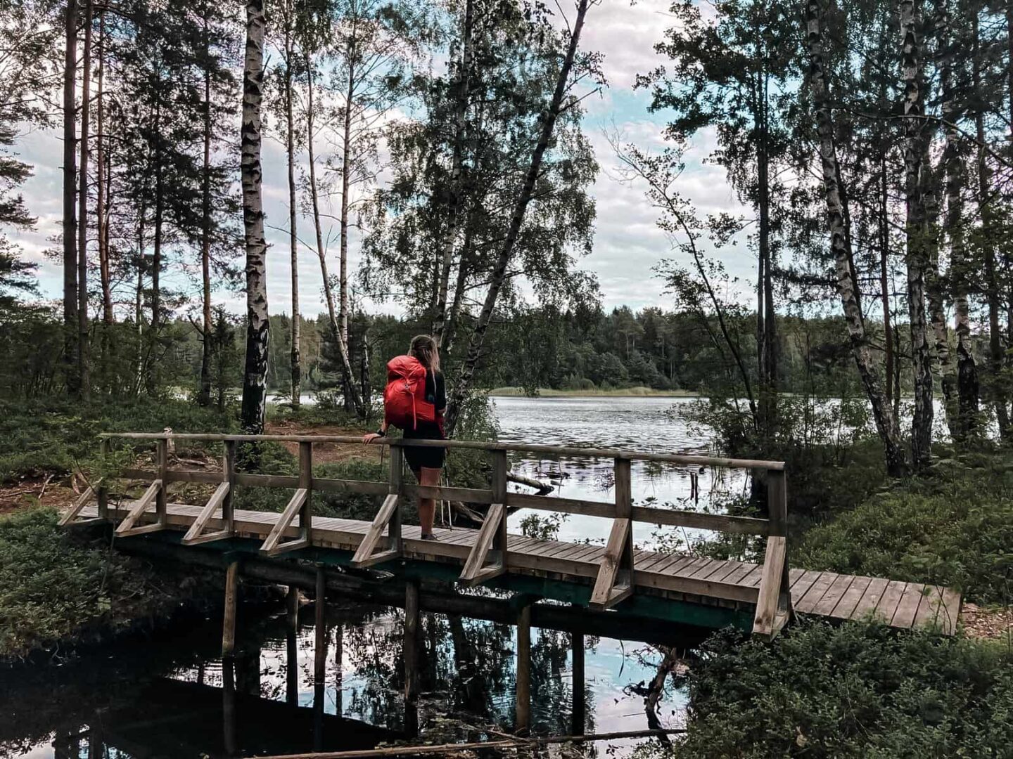 Women standing on wooden bridge over river in forest in Estonia.