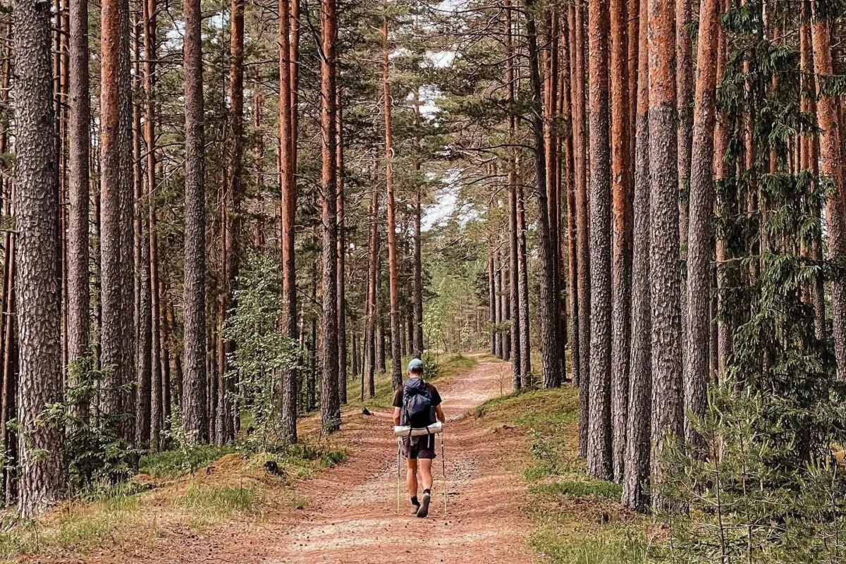 Man hiking on forest path surrounded by trees