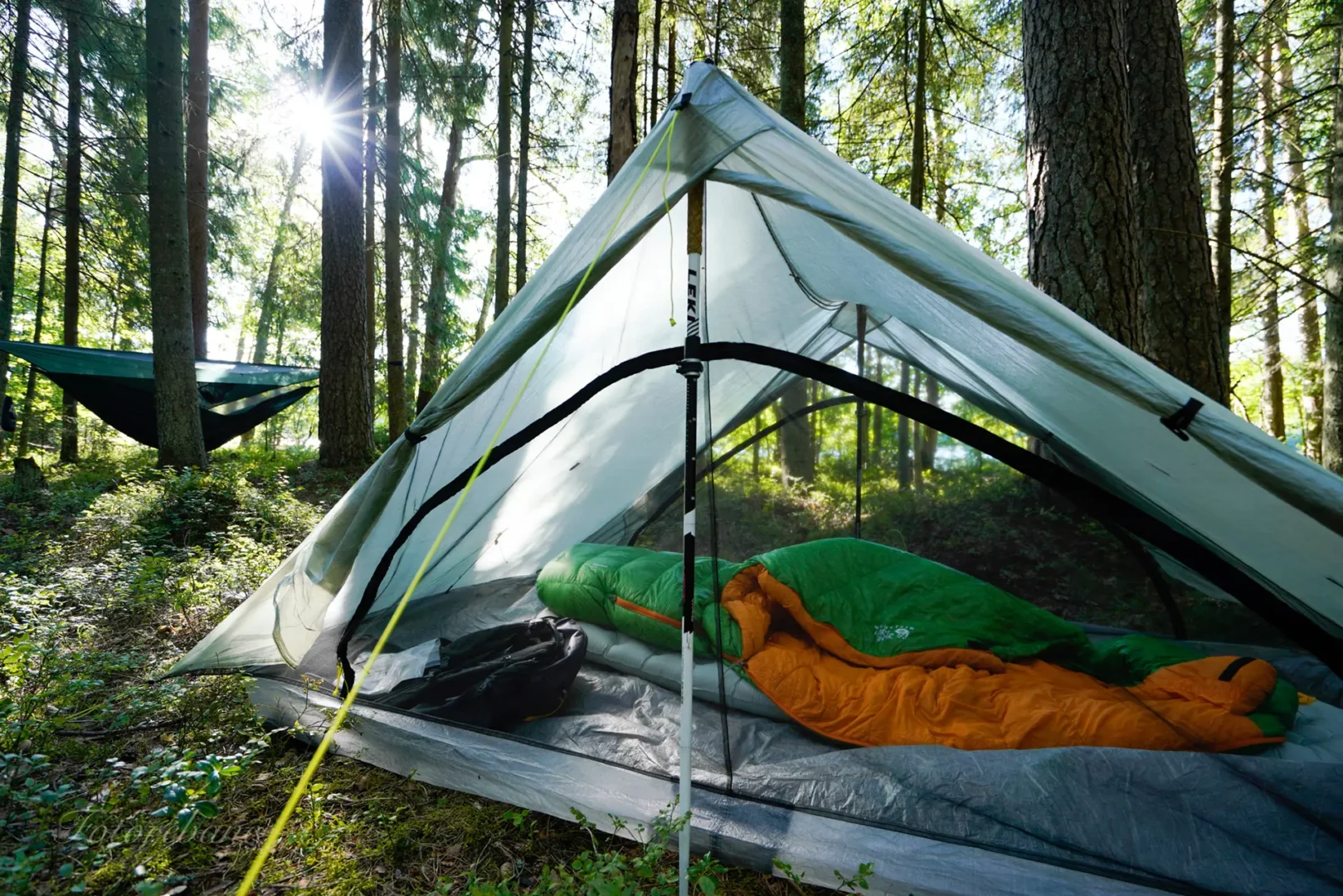 Tent in the forrest, wildcamping in Estonia