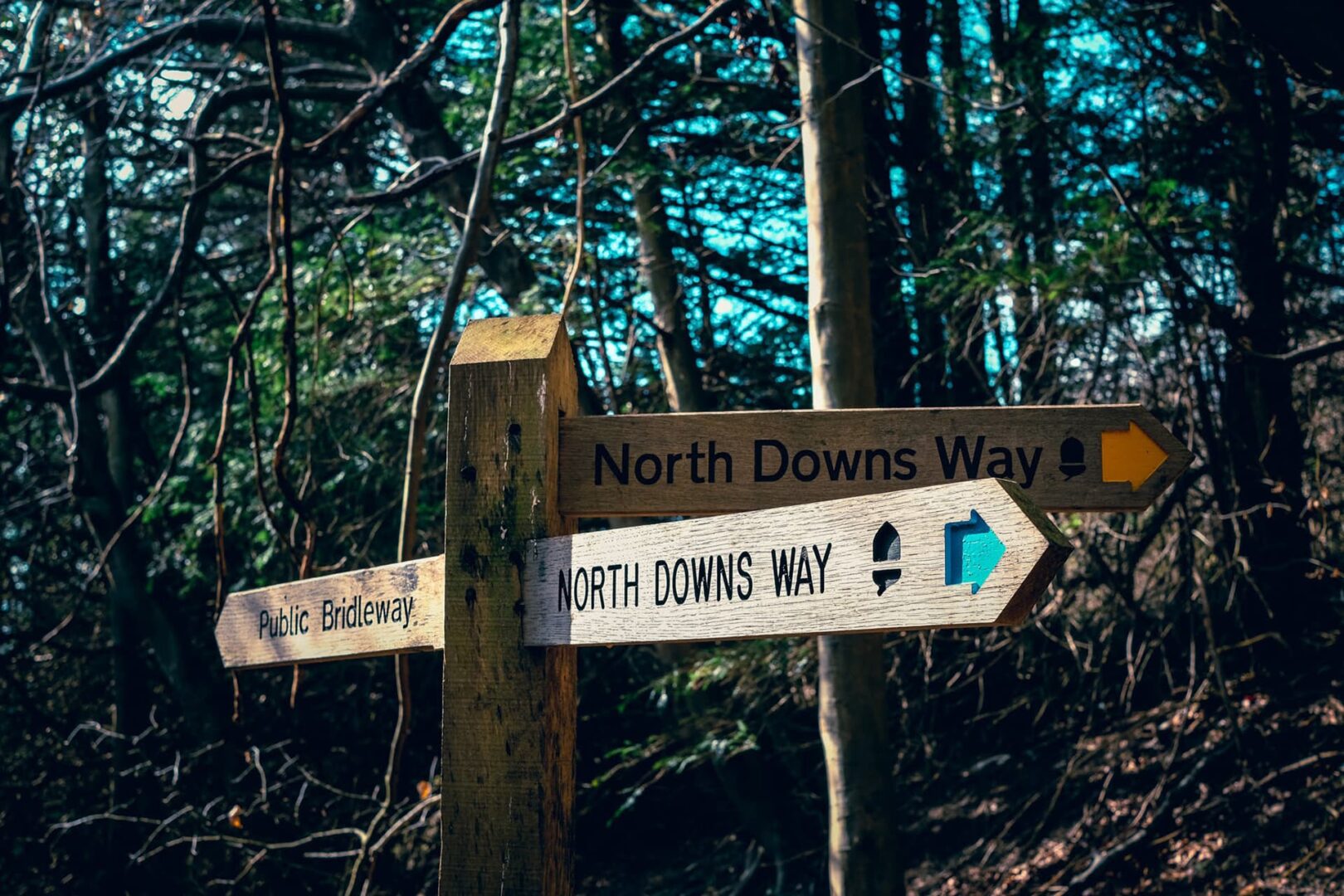 North Downs Way trail sign