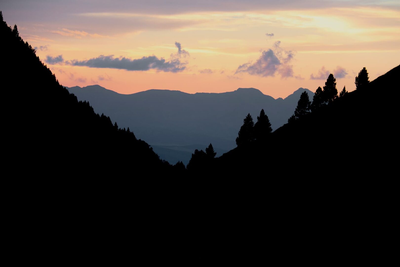 Silhouette of trees and mountains in the Pyrénées-Orientales, France