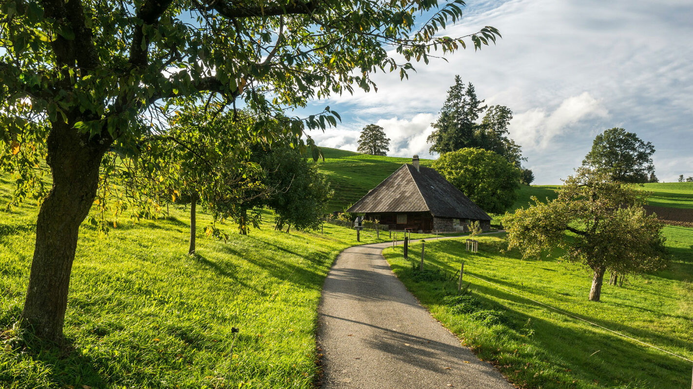 Road in the Swiss countryside in Emmental, summer